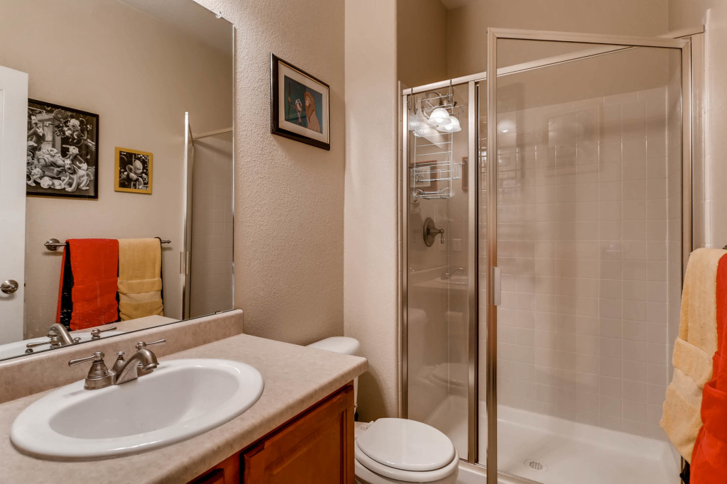11609 S Flower Mound Way-print-021-7-Full bath on main level-2700x1799-300dpi