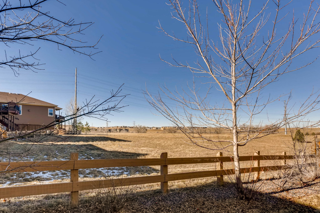 11609 S Flower Mound Way-print-024-17-Backs to Open Space-2700x1798-300dpi