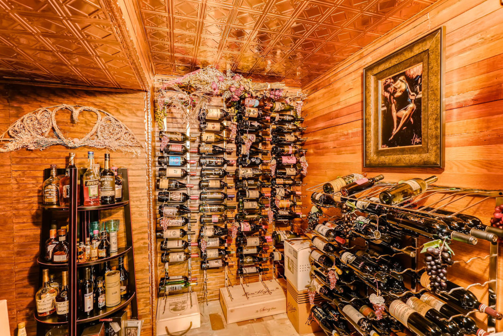 965 S High St Denver CO 80209-large-032-35-Lower Level Wine Cellar-1500x1000-72dpi
